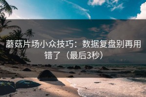 蘑菇片场小众技巧：数据复盘别再用错了（最后3秒）