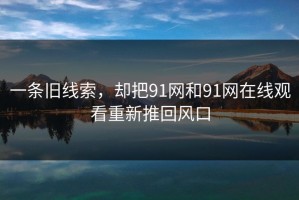 一条旧线索，却把91网和91网在线观看重新推回风口