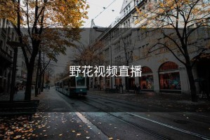 野花视频直播