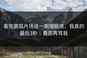 看完蘑菇片场这一期加班夜，我真的最后3秒｜看完再骂我