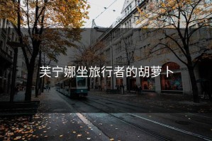 芙宁娜坐旅行者的胡萝卜