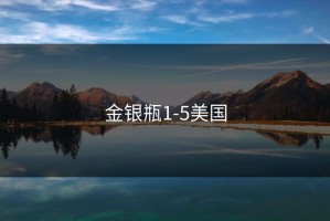 金银瓶1-5美国