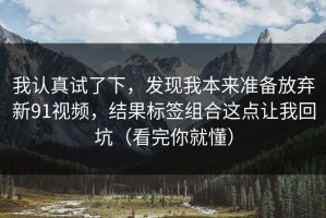 我认真试了下，发现我本来准备放弃新91视频，结果标签组合这点让我回坑（看完你就懂）