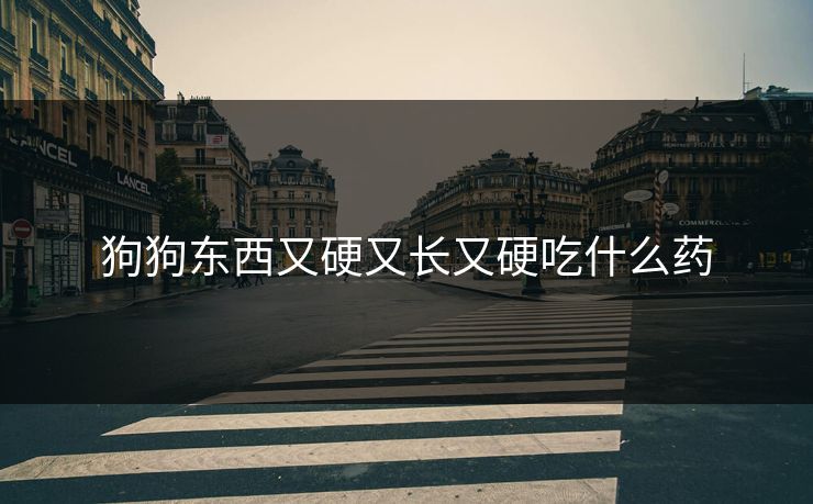 狗狗东西又硬又长又硬吃什么药 狗狗东西又硬又长又硬吃什么药