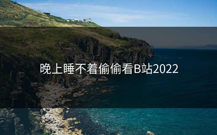 晚上睡不着偷偷看B站2022 晚上睡不着偷偷看B站2022