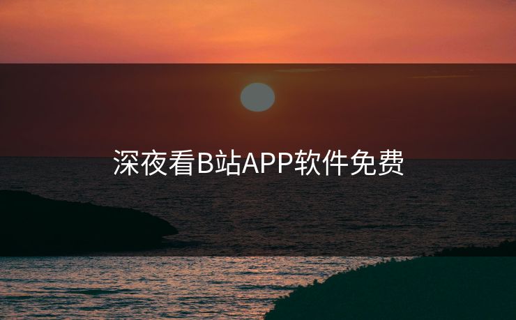 深夜看B站APP软件免费 深夜看B站APP软件免费