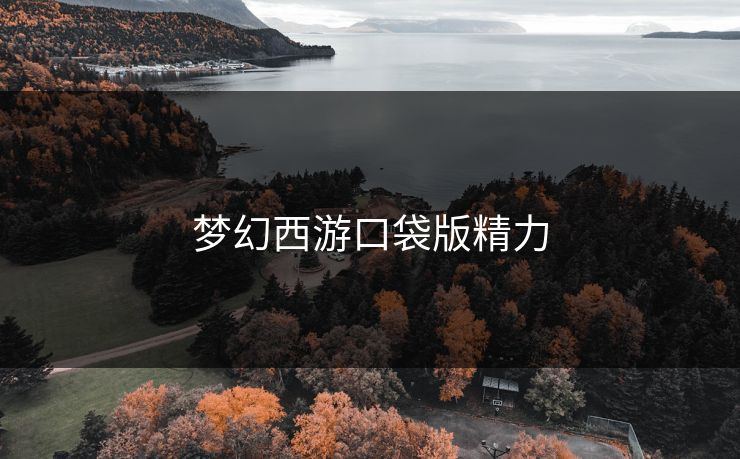 梦幻西游口袋版精力 梦幻西游口袋版精力