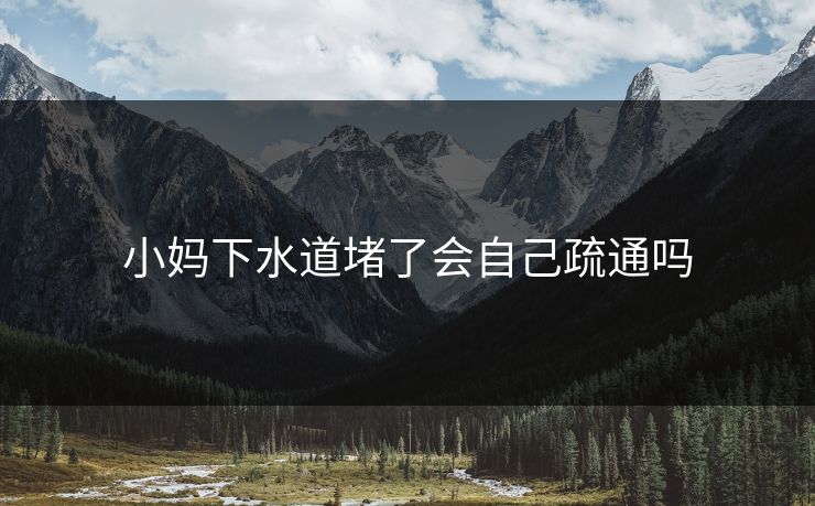 小妈下水道堵了会自己疏通吗 小妈下水道堵了会自己疏通吗