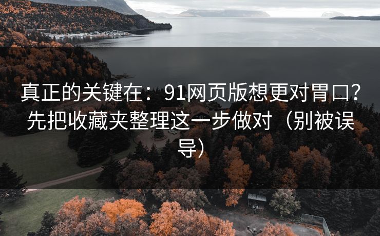 真正的关键在:91网页版想更对胃口?先把收藏夹整理这一步做对(别被误导) 真正的关键在:91网页版想更对胃口?先把收藏夹整理这一步做对(别被误导)